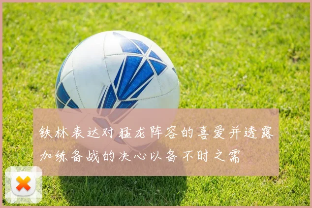 铁林表达对猛龙阵容的喜爱并透露加练备战的决心以备不时之需