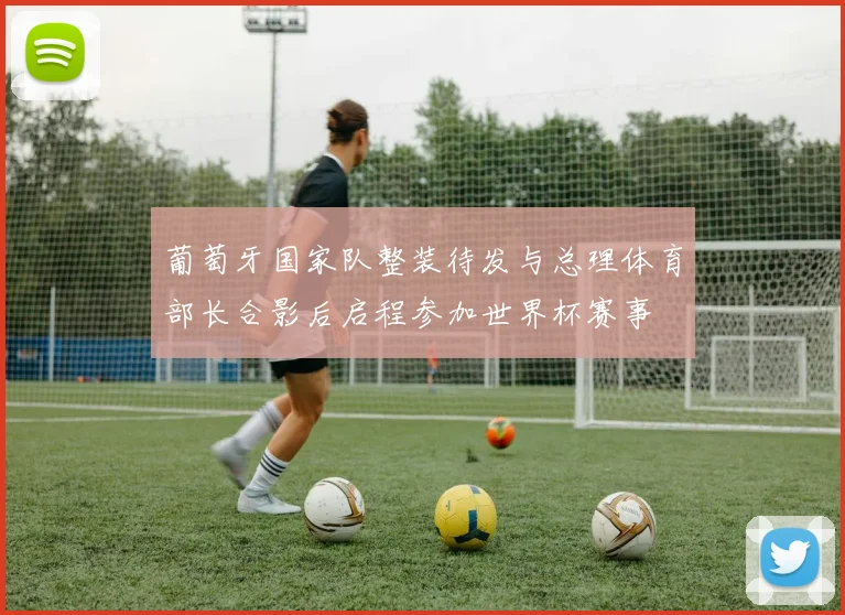 葡萄牙国家队整装待发与总理体育部长合影后启程参加世界杯赛事