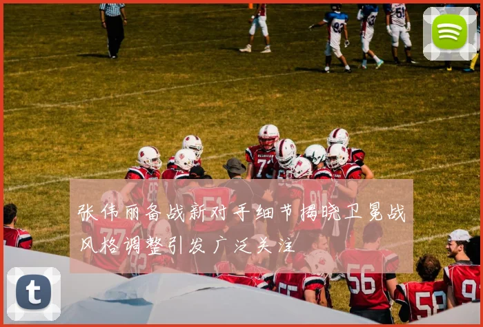 张伟丽备战新对手细节揭晓卫冕战风格调整引发广泛关注